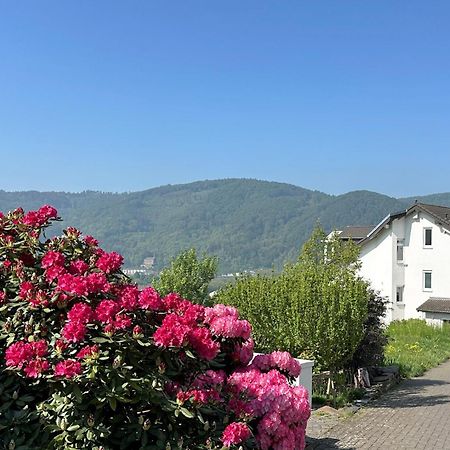Ferienwohnung Rhein-Panorama Lahnstein Exteriér fotografie