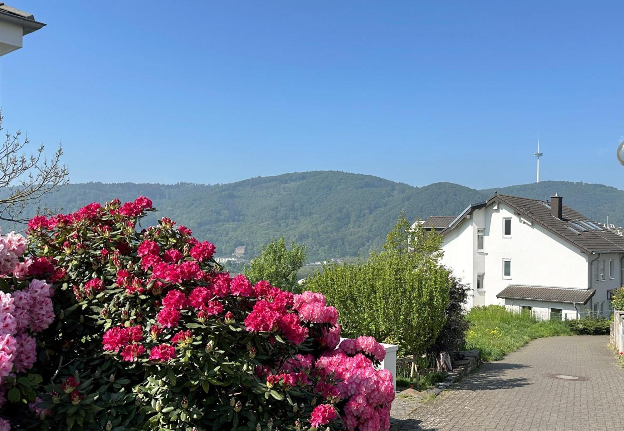 Ferienwohnung Rhein-Panorama Lahnstein Exteriér fotografie